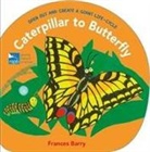 Frances Barry - Caterpillar to Butterfly
