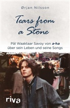 Ørja Nilsson, Ørjan Nilsson, Dan Stilzebach, Daniela Stilzebach, På Waaktaar Savoy, Pål Waaktaar Savoy - Tears from a Stone