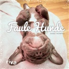 Hansi Trompka - Faule Hunde