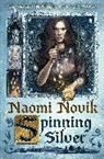 Naomi Novik - Spinning Silver