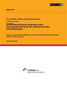 Niklas Götz - Positivitätserhaltende Methoden hoher Konvergenzordnung für die eindimensionalen Eulergleichungen