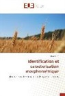 Ikram Djat - Identification et caractérisation morphométrique