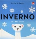 David A. Carter - Inverno. Libro pop-up