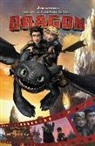 DreamWorks, DreamWorks Animation, DreamWorks, DreamWorks Animation - DreamWorks How to Train Your Dragon Cinestory Comic