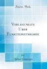 Julius Petersen - Vorlesungen Über Funktionstheorie (Classic Reprint)