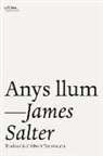 James Salter - ANYS LLUM