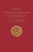 Stefan Roth - Geldgeschichte und Münzpolitik im Herzogtum Braunschweig-Lüneburg im Spätmittelalter, Die Rechnungsbücher der Braunschweiger Münzstätte
