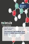 Maha M Alsubaie, Maha M. Alsubaie, Robert B. van Huystee, Robert van Huystee, Robert B van Huystee, Robert B. van Huystee - The enzyme, peroxidase, with three moieties beyond protein