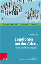 Rolf Haubl - Emotionen bei der Arbeit