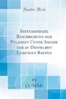 O. Wilde - Systematische Beschreibung der Pflanzen Unter Angabe der an Denselben Lebenden Raupen (Classic Reprint)