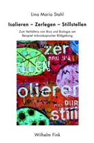 Rafael Aragüés, Annemarie Gethmann-Siefert, A Gethmann-Siefert u a, Alain Patrick Olivier, Michael Quante, Elisabet Weisser-Lohmann... - Das Problem des Absoluten in der Philosophie Hegels