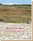 Björn Zedrosser - Mehr als ein Meer