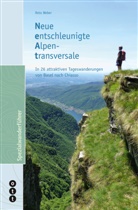 Reto Weber - Neue entschleunigte Alpentransversale (NEAT)