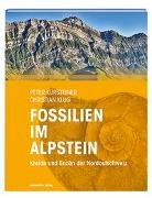 Christian Klug, Pete Kürsteiner, Peter Kürsteiner, Christian Klug, Peter Kürsteiner - Fossilien im Alpstein