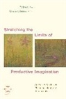 Saulius Geniusas, Saulius Geniusas, Geniusas Saulius - Stretching the Limits of Productive Imagination