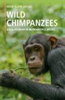 Adam Clark Arcadi, Adam Clark (Cornell University Arcadi - Wild Chimpanzees