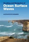 Alexander Babanin, Alexander (Swinburne University of Techno Babanin, Alexander (Swinburne University of Technology Babanin, Babanin Alexander - Breaking and Dissipation of Ocean Surface Waves