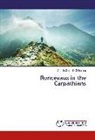 Catalin Corneliu Ghinararu - Roncevaux in the Carpathians