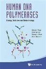 Silvio Spadari Giuseppe Giovanni Maga, Hubscher Ulrich, Giovanni Maga, Maga Giovanni, Silvio Spadari, Spadari Silvio... - Human Dna Polymerases: Biology, Medicine And Biotechnology