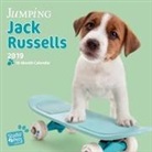 Myrna Huijing - Jumping Jack Russels 2019