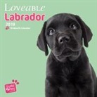 Myrna Huijing - Lovable Labrador 2019