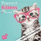 Myrna Huijing - Perfect Kittens - Katzenbabies - Katzenkinder 2019 - 18-Monatskalender