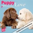 Myrna Huijing - Puppy Love - Hundewelpen 2019 - 18-Monatskalender
