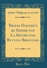 Johann Wolfgang von Goethe - Briefe Goethe's an Sophie von La Roche und Bettina Brentano (Classic Reprint)
