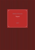 Mathias Schneider - Exposé