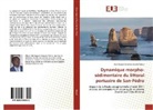 Adji Hugues Simplice Semity Gbessi - Dynamique morpho-sédimentaire du littoral portuaire de San-Pédro