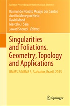 Raimundo Nonato Araujo Dos Santos, Raimundo Nonato Araújo dos Santos, Auréli Menegon Neto, Aurelio Menegon Neto, Aurélio Menegon Neto, David Mond... - Singularities and Foliations. Geometry, Topology and Applications