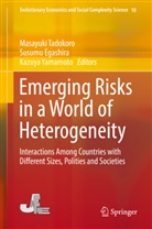 Susum Egashira, Susumu Egashira, Masayuki Tadokoro, Kazuya Yamamoto - Emerging Risks in a World of Heterogeneity