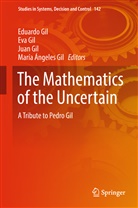 Eduardo Gil, Ev Gil, Eva Gil, Juan Gil, María Ángeles Gil, Juan Gil et al - The Mathematics of the Uncertain