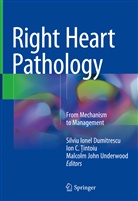 Ion C. &iquest;Intoiu, Io C Tintoiu, Ion C Tintoiu, Silviu Ionel Dumitrescu, Malcolm John Underwood, Ion C. Tintoiu... - Right Heart Pathology