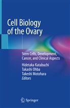 Hidetaka Katabuchi, Hidetaka Katabuchi, Takeshi Motohara, Takash Ohba, Takashi Ohba - Cell Biology of the Ovary