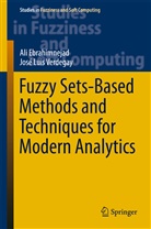 Al Ebrahimnejad, Ali Ebrahimnejad, José Luis Verdegay - Fuzzy Sets-Based Methods and Techniques for Modern Analytics