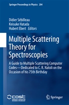 Hubert Ebert, Keisuk Hatada, Keisuke Hatada, Didier Sébilleau - Multiple Scattering Theory for Spectroscopies