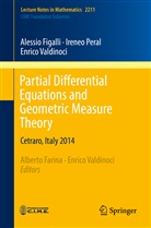 Alessi Figalli, Alessio Figalli, Irene Peral, Ireneo Peral, Enrico Valdinoci, Albert Farina... - Partial Differential Equations and Geometric Measure Theory