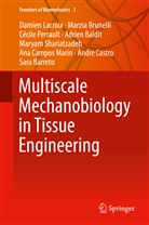 Adrien Baldit, Sara Barreto, Marzi Brunelli, Marzia Brunelli, Ana Campos Marin, Andre Castro... - Multiscale Mechanobiology in Tissue Engineering