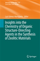Lui Gómez-Hortigüela, Luis Gómez-Hortigüela - Insights into the Chemistry of Organic Structure-Directing Agents in the Synthesis of Zeolitic Materials