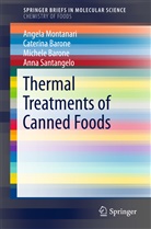 Caterin Barone, Caterina Barone, Michele Barone, Angel Montanari, Angela Montanari, Anna Santangelo - Thermal Treatments of Canned Foods
