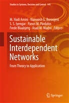 M. Hadi Amini, Frede Blaabjerg, Kianoosh G. Boroojeni, Kianoos G Boroojeni, Kianoosh G Boroojeni, S S Iyengar... - Sustainable Interdependent Networks