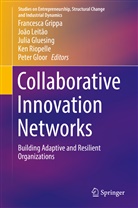 Peter Gloor, Julia Gluesing, Julia Gluesing et al, Francesca Grippa, Joã Leitão, João Leitão... - Collaborative Innovation Networks