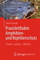 Glandt, Dieter Glandt, Martin Lay - Praxisleitfaden Amphibien- und Reptilienschutz