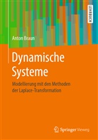 Anton Braun - Dynamische Systeme