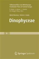 Antonio Calado, António J Calado, António J. Calado, Øjvin Moestrup, Øjvind Moestrup - Süßwasserflora von Mitteleuropa - 6: Dinophyceae