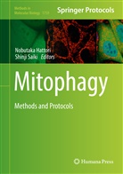 Nobutak Hattori, Nobutaka Hattori, Saiki, Saiki, Shinji Saiki - Mitophagy