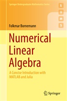 Folkmar Bornemann - Numerical Linear Algebra