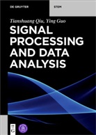 Ying Guo, Tianshuan Qiu, Tianshuang Qiu, Tsinghua University Press - Signal Processing and Data Analysis