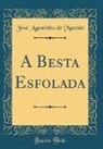 Jose Agostinho De Macedo, José Agostinho de Macedo - A Besta Esfolada (Classic Reprint)